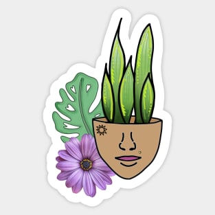 Surreal Sansevieria, Snake Plant & Swiss Cheese Leaf Sticker